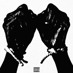 圣域龙灵大长腿美图
