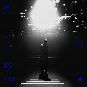 圣域龙灵大长腿美图
